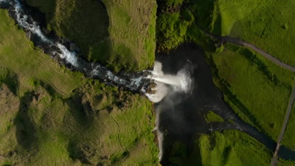 Légimadarak fentről lefelé nézik a magasba emelkedő lövést, Seljalandsfoss vízesés. Lenyűgöző felvételek a megőrzött északi természetről és a mélybe süllyedő fehér vízről. Izland — Stock videók