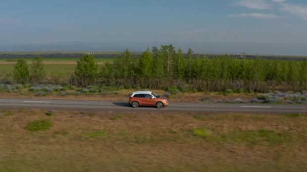 Sideway παρακολούθηση των σύγχρονων SUV αυτοκίνητο οδήγηση στο δρόμο κατά μήκος των δέντρων. Επίπεδη σκανδιναβική εξοχή σε χρυσή ώρα. Ισλανδία — Αρχείο Βίντεο