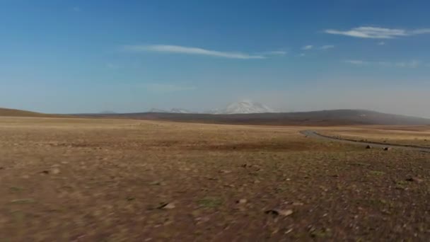 Ovaların üzerinden uçmak, toprak yolda araba sürmek. Kar tepesi dağ zirveleri uzakta. İzlanda — Stok video