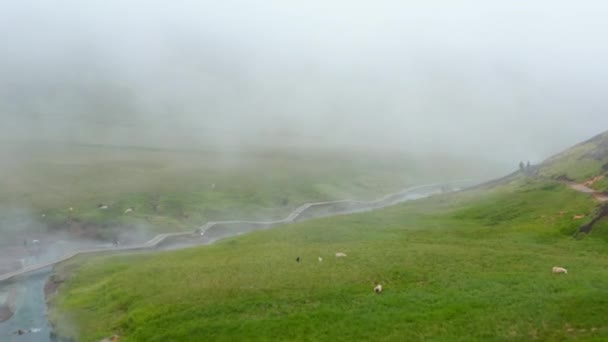 İnsanlar kırsal kesimde akan termal nehrin ılık sularında dinleniyorlar. Sisten yükselen sisle birlikte akarsu boyunca sahil yürüyüşü. İzlanda — Stok video