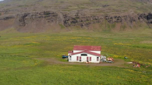 Slide och panorera bilder av landsbygden byggnad omgiven av blommande äng. Nordisk landsbygd. Island — Stockvideo