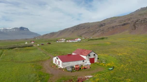 İleriye doğru kırsaldaki yeşil çayır üzerinde uçar. Manzaradaki kırsal binalar. Arka planda dağlar. İzlanda — Stok video