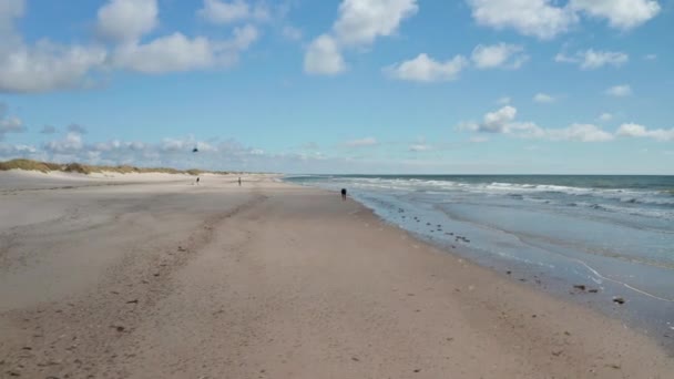 Diapositiva y panorámica de personas que pasan un día soleado y ventoso en la playa. Olas lavando arena en la costa. Países Bajos — Vídeo de stock