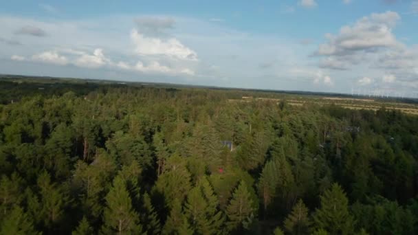İleriye doğru düz arazinin üzerinde ağaçlarla uçar. Düşük güneşin aydınlattığı seyrek ormandaki kulübeler. Kırsal kesimde yazlık evler. Danimarka — Stok video