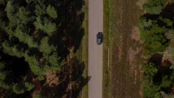 Havadan kuşların gözü tepeden aşağıya yoldaki arabayı görüyor. Ormanda pistte giden aracın izini sürmek. Danimarka — Stok video