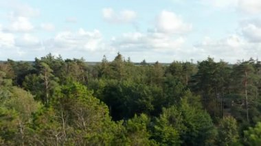 Ormandaki ağaçların üzerinden ileriye doğru uçar. Çamurlu düz arazi. Çeşitli ağaçların arasına gizlenmiş binanın üzerinden uç. Danimarka