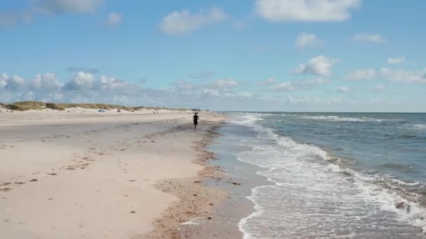 Der Mensch rennt an der Küste entlang. Barfuß-Sportler am Sandstrand an sonnigen Tagen. Wellen wälzen sich zur Küste. Dänemark — Stockvideo
