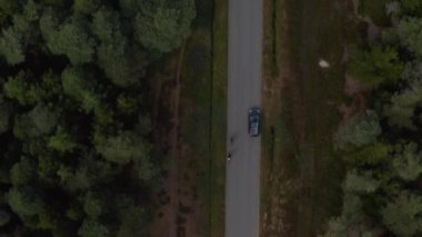 Havadaki kuşlar yukarıdan aşağıya, ormandaki asfalt yolda araba sürerken görüyorlar. Bisikletçilerin ve diğer arabaların yanından geçiyordum. Danimarka