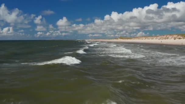 Wellen wälzen sich auf der Wasseroberfläche. Tiefflüge über dem Meer in Küstennähe. Sandstrand und grüne Vegetation am Ufer. Dänemark — Stockvideo
