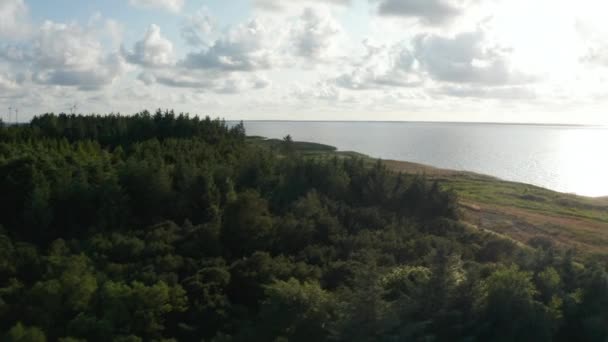 Filmato aereo del paesaggio costiero con foresta e passerella lungo la costa del mare. Gruppo di turbine eoliche in distanza. Danimarca — Video Stock