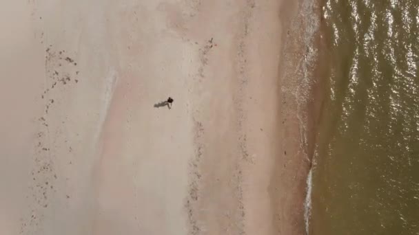 A madarak fentről nézik a homokos parton futkározó embert. Emeld fel az emberek leleplezését a parton. Dánia — Stock videók