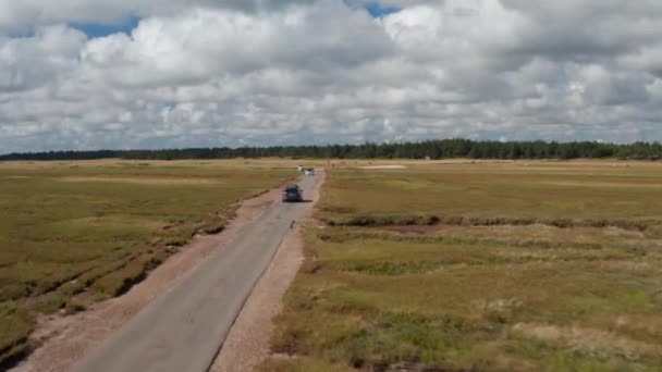 Auto 's passeren elkaar op smalle asfaltweg op het platteland. Veehouderij op weiden langs de weg. Denemarken — Stockvideo