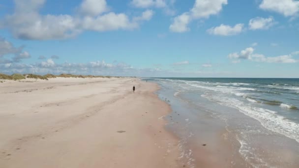 Orbit lövés körül sportember fut homokos tengerparton mentén a tenger partján. Enyhe hullámok keringenek. Kék ég, fehér felhőkkel. Dánia — Stock videók