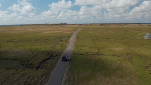 Запись с воздуха, как машина движется по узкой тропинке, ведущей в плоские луга. Зеленый пейзаж. Дания — стоковое видео