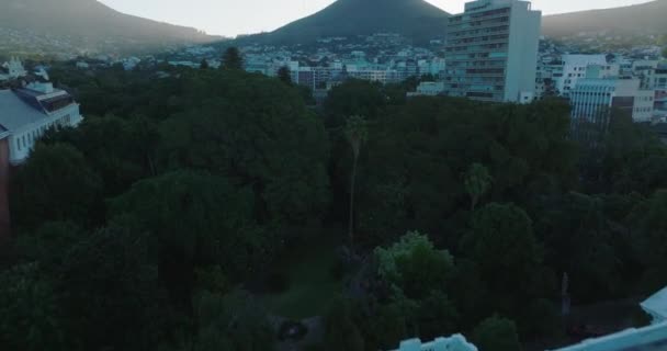 Dopředu létají nad stromy v Companys Garden. Nakloňte se a odhalte městskou čtvrť a špičatou horu. Kapské Město, Jihoafrická republika — Stock video