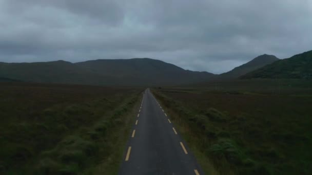 İleride dar bir arazinin üzerinde uçuyor. Vahşi hayvan yol kenarında duruyor. Arka planda bulutlu gökyüzüne karşı dağlar. İrlanda — Stok video