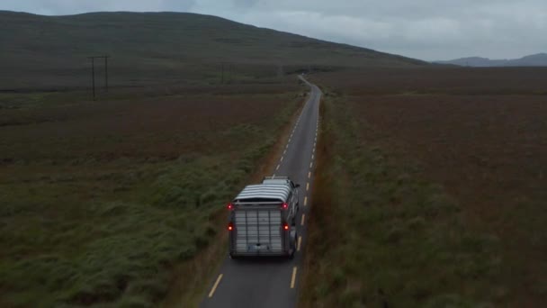 말의 트레일러가 있는 자동차 가 시골의 좁은 길을 운전하는 것을 추적하고 있다. 도로를 따라 목초지와 목초지가 펼쳐져 있습니다. 아일랜드 — 비디오
