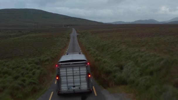 Forwards fly behind vehicle with horse trailer at dusk. Narrow road in countryside surrounded by pastures and grasslands. Ireland — Stock Video