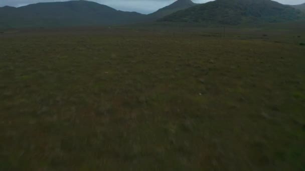 Hochwinkelblick auf grünes Grasland. Hochgeklappt zeigen sich Landschaft und Berge im Hintergrund. Vorwärts fliegen über die Landschaft. Irland — Stockvideo