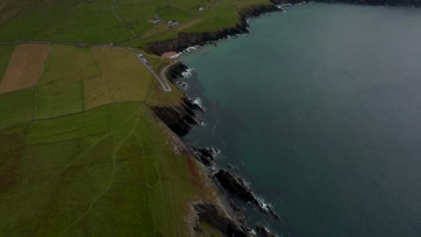 Imágenes de alto ángulo de escarpas empinadas y altas cayendo al agua. Pastos verdes a lo largo de la costa del mar escarpado. Irlanda — Vídeo de stock