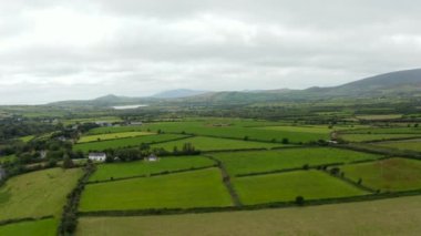 Kırsaldaki yeşil tarlaların ve çayırların panoramik görüntüsü. Düz arazide tarım ve tarım. İrlanda