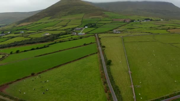 Luchtfoto 's van het landschap. Platteland met groene weiden en weiden, heuvel met toppen verborgen in wolken op de achtergrond. Ierland — Stockvideo