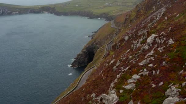 Voe ao longo de escarpa rochosa caindo fortemente para o mar. Crescido com vegetação colorida. Carro dirigindo em rota panorâmica no meio da encosta. Irlanda — Vídeo de Stock