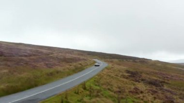 Islak virajlı yolda, kırsal alanlarda ve otlaklarla çevrili üstü açık arabaları takip ediyoruz. İrlanda