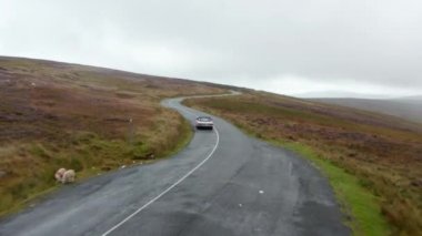 Bulutlu bir günde kırsal kesimde ileriye doğru uçarlar. Tekstil çatılı klasik üstü açık arabayı takip ediyorum. İrlanda