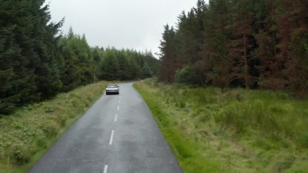Αργά κινείται vintage σπορ αυτοκίνητο στο δρόμο στο δάσος. Ψηλά χόρτα και δέντρα κατά μήκος του δρόμου. Συννεφιασμένος ουρανός. Ιρλανδία — Αρχείο Βίντεο