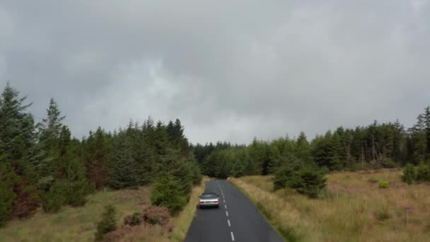 Seguimiento hacia delante del coche de época conduciendo por carretera húmeda rodeada de prados y bosques. Frenando antes de la curva. Irlanda — Vídeos de Stock