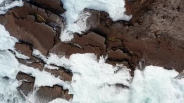 Havadan kuşların gözü tepeden aşağıya kayaların üzerinde yuvarlanan ve yüksekliğe sıçrayan dalgaları görüyor. Doğanın gücünün detaylı görüntüleri. Kilkee Cliff Walk, İrlanda