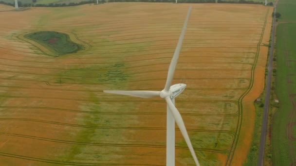 Vista de ángulo alto de la central eólica contra el campo con grano de maduración. Concepto de energía verde, ecología y reducción de la huella de carbono — Vídeos de Stock