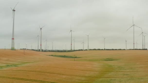 Větrný park vyrábějící čistou elektřinu. Nízký úhel pohledu na rotující větrné turbíny nad obilným polem. Zelená energie, ekologie a koncepce snižování uhlíkové stopy — Stock video