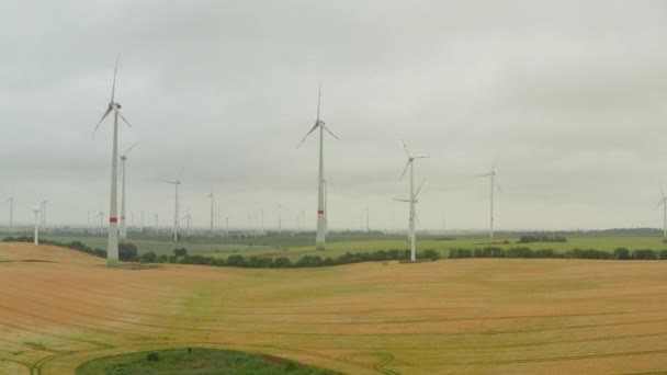 Duży park wiatrowy z dziesiątkami działających turbin wiatrowych na płaskiej wsi w pochmurny dzień. Koncepcja zielonej energii, ekologii i redukcji emisji dwutlenku węgla — Wideo stockowe