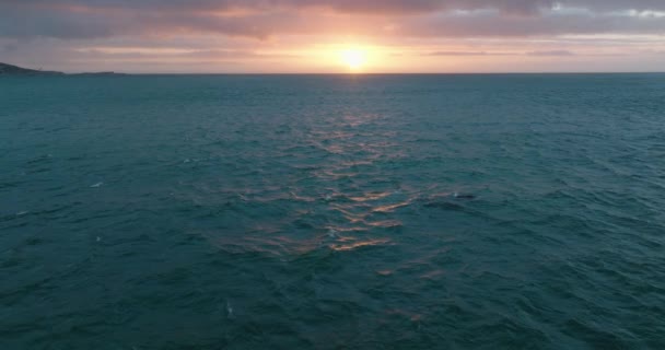 Vynořuje se a fouká velryba proti barevnému západu slunce. Panoramatický romantický pohled na zvlněné moře za soumraku. — Stock video