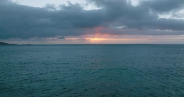 Спостереження за китами в морі в сутінках. Літати над поверхнею води, барвисте сутінкове небо на фоні . — стокове відео