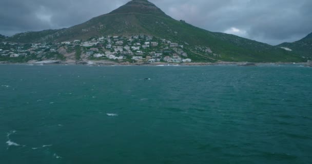 海沿いの水面上を飛ぶ。野生動物のクジラを見る。住宅や山を背景に. — ストック動画