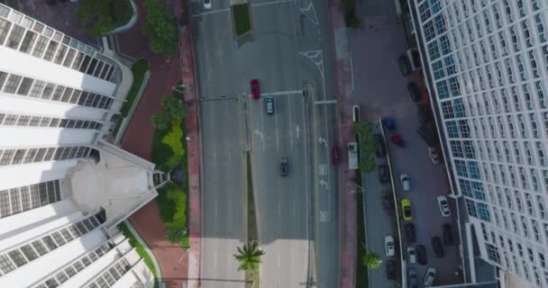 Fåglar syn på bilar som kör på bred väg i staden i tropiskt område. Moderna höghus och palmer längs vägen. Miami, USA — Stockvideo