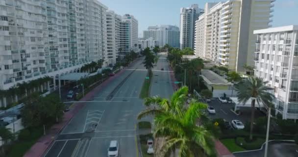 Modern kentsel ilçede çok şeritli ana yolda giden araçların takibi devam ediyor. Yol boyunca palmiye ağaçları. Miami, ABD — Stok video