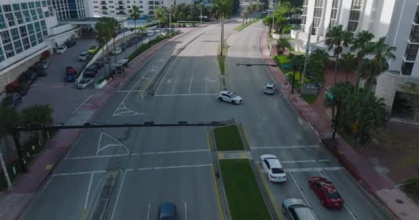 Paar voertuigen draaien op meerbaans hoofdweg in de stad. Palmbomen en hoge gebouwen. Miami, Verenigde Staten — Stockvideo
