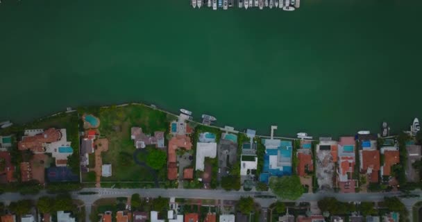 Fåglar blickar ut över lyxiga bostadsområden längs floden. Båtar och båtar förtöjda på baksidan. Upptagen motorväg som leder genom vattnet. Miami, USA — Stockvideo