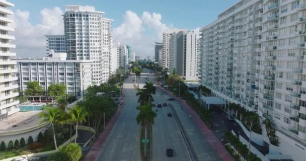 Framåt flyger du över en bred flerfilig väg kantad av palmer och höga byggnader med vita fasader. Miami, USA — Stockvideo
