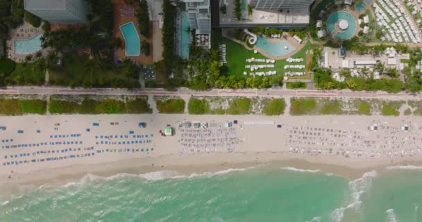 Bølger vask havkyst. Sandstrand med liggestole i luksus feriested. Top ned vandret panorering skud. Miami, USA – Stock-video
