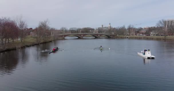 Latać nad sportowcami w łodzi wiosłowych na spokojnej powierzchni rzeki Charles w pobliżu John W. Weeks Footbridge. Boston, USA — Wideo stockowe