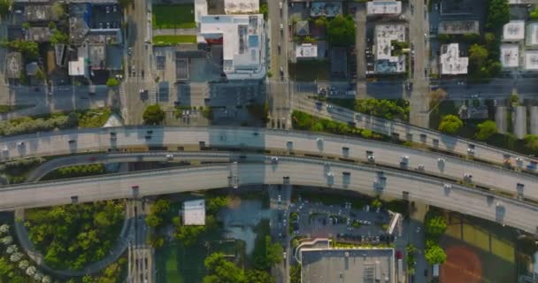 Birds eye shot of traffic on multilane highway elevated above building in city borough. Faible ensoleillement projetant de longues ombres. Miami, États-Unis — Video