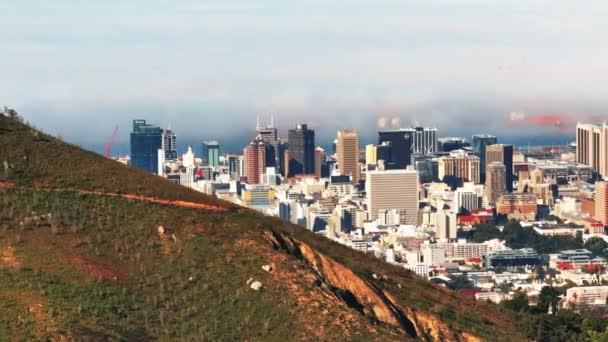 Kuststad Verstopt Zich Achter Grashelling Modern Stadsdeel Omringend Landschap Kaapstad — Stockvideo