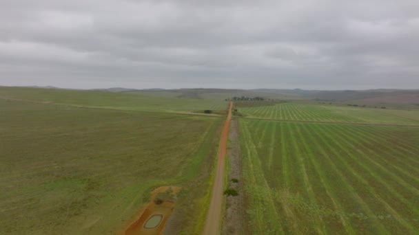 Forwards Fly Flat Landscape Cloudy Day Dirt Road Leading Green — ストック動画