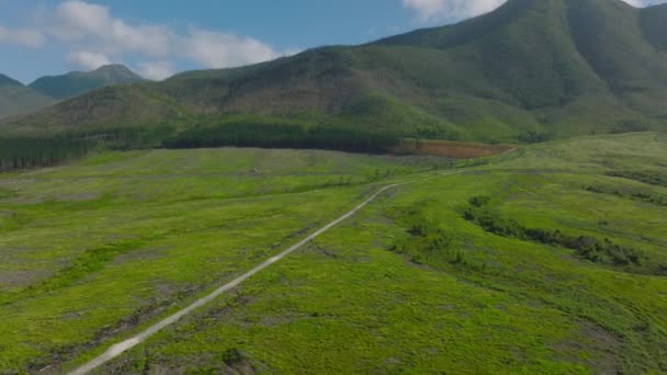 Forwards Fly Green Meadows Pastures Hill Foot Mountain Ridge Sky — стокове відео