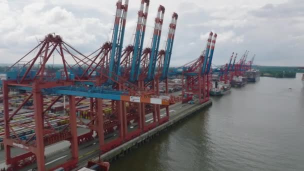 Fly Row Big Gantry Cranes Waterfront Harbour Export Import Cargo — Wideo stockowe